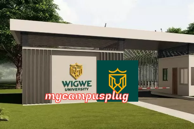 Wigwe University School Fees